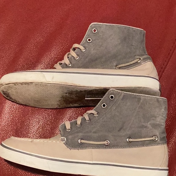 Sperry Hi-tops - Picture 6 of 9